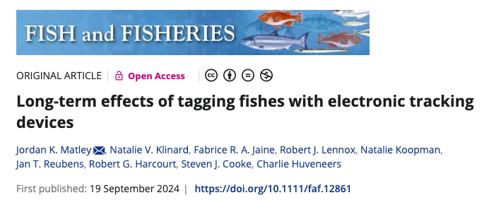 Ocean Tracking Network (@oceantracking) on Twitter photo New paper alert!📢 OTN sci director <a href="/FisheriesRobert/">Robert Lennox</a> joined an A-team of researchers to explore long-term effects of tagging fish w/ electronic devices. The study is a helpful resource for fish tracking projects & informs best practices for animal ethics! doi.org/10.1111/faf.12… New paper alert!📢 OTN sci director <a href="/FisheriesRobert/">Robert Lennox</a> joined an A-team of researchers to explore long-term effects of tagging fish w/ electronic devices. The study is a helpful resource for fish tracking projects & informs best practices for animal ethics! doi.org/10.1111/faf.12…