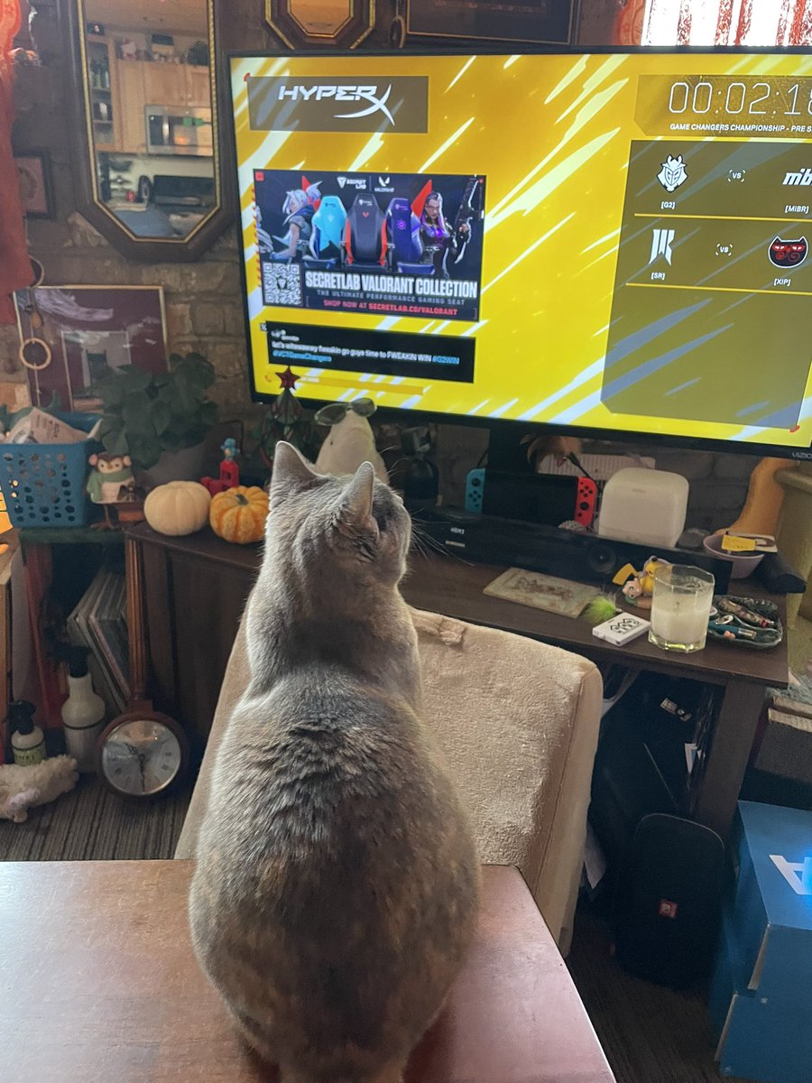 Shes rooting for <a href="/G2VALORANT/">G2 VALORANT</a> and <a href="/ShopifyRebels/">Shopify Rebellion</a> ✨