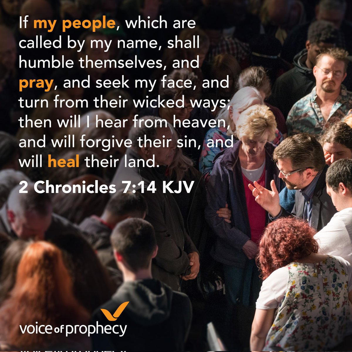 Words of Wisdom tweet media