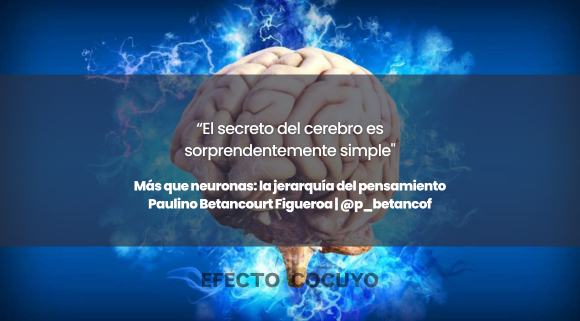 #Opinión  <a href="/p_betancof/">Paulino Betancourt Figueroa</a>: "Ya sea conduciendo un 4x4 por la Sierra Imataca o reaccionando ante una amenaza inesperada, el cerebro procesa y actúa sobre la información nueva con rapidez".

Lee su artículo completo aquí ➡️bit.ly/4hGGgxu