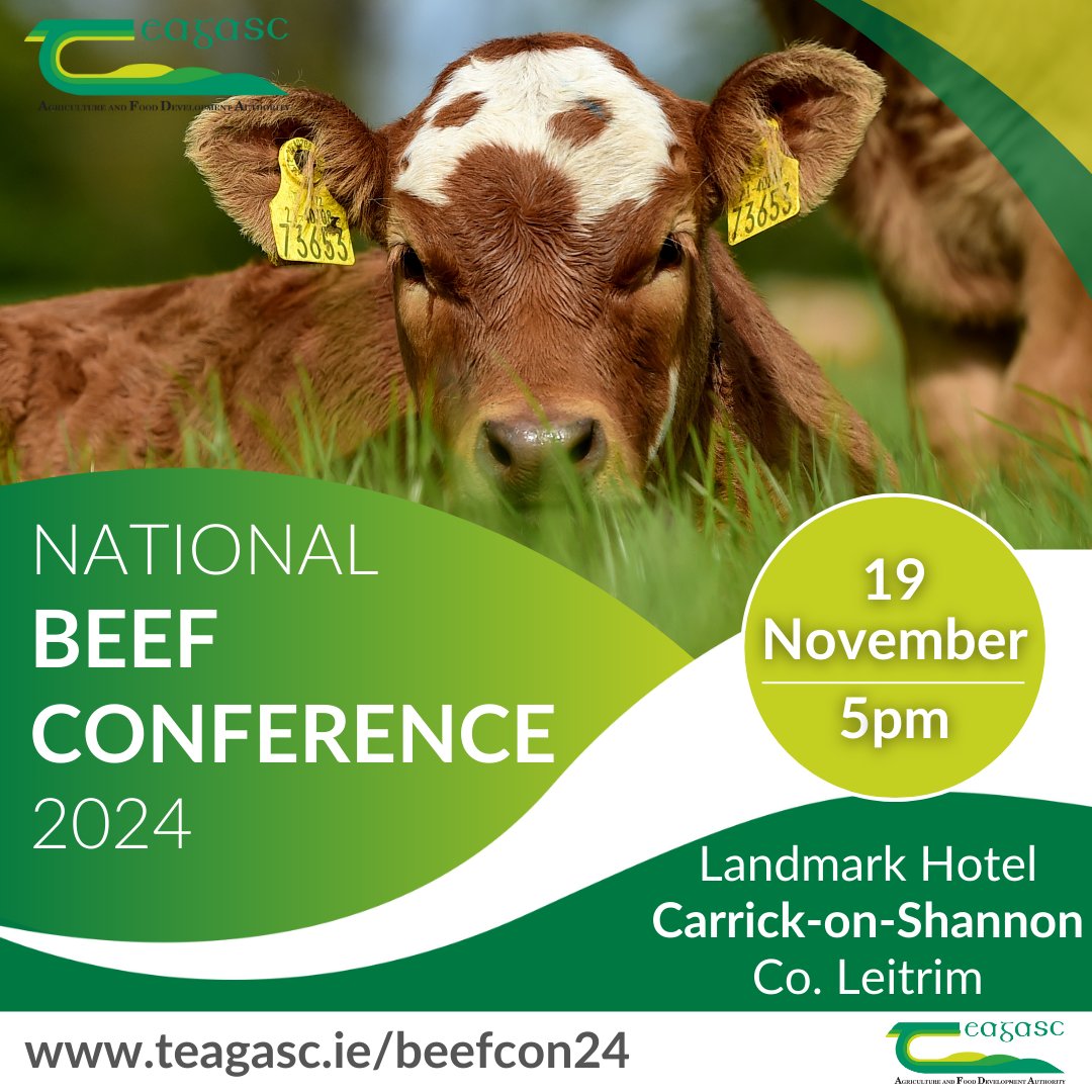 teagasc's tweet photo. The National Beef Conference takes place on Tuesday next, 19 November at 5pm in the Landmark Hotel, Carrick-on-Shannon, Co. Leitrim. The theme of this year's conference is 'Sustainable Beef Farming: Pathways to a greener future'.
Find out more https://t.co/HlGKZvuNvT #BeefCon24 https://t.co/u6tAOA9ZYi