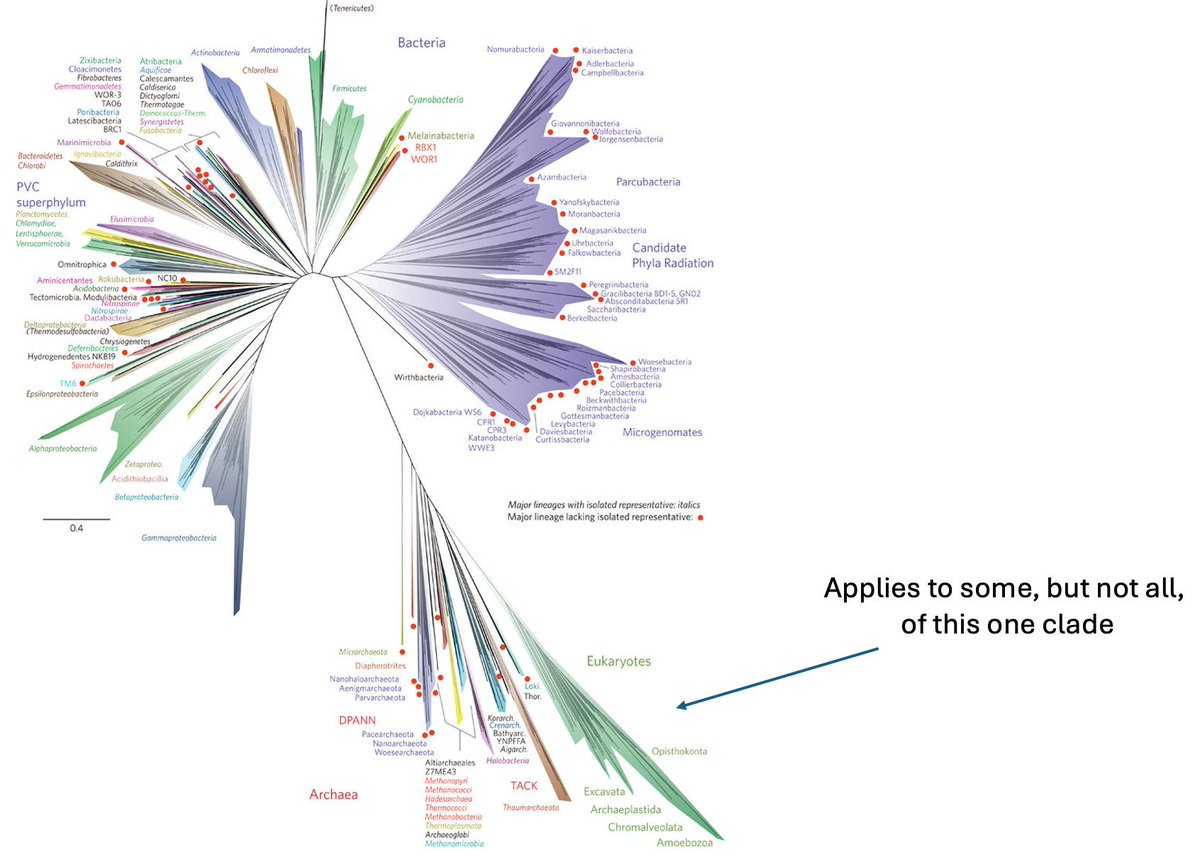 Evolutionary biologists teaching intro courses: "Hardy-Weinberg is the null model of evolution."

Evolutionary biologists studying bacteria/archaea/asexual eukaryotes: