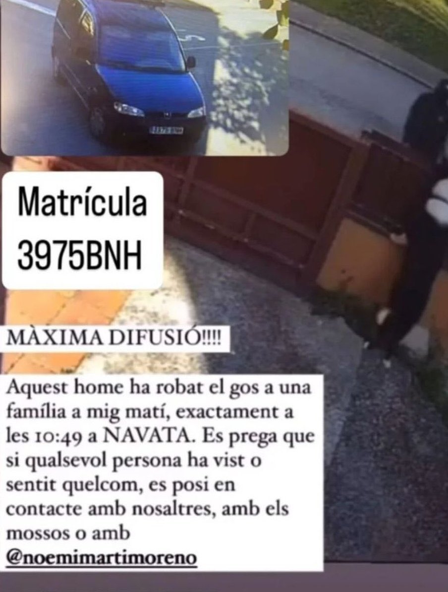 No és un robatori, és un segrest. Un gos no és un objecte. Si els mossos no poden fer més perquè els segrestados no volen parlar, fem alguna cosa nosaltres.  

Algú sap on viuen aquests FDGP? #loveLucky