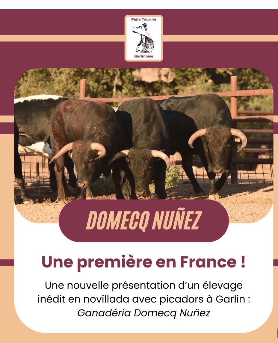 toros_en's tweet photo. GARLIN : Dimanche 13 avril 2025
Une nouvelle présentation d’un élevage inédit en novillada avec picadors : Ganaderia DOMECQ NUÑEZ https://t.co/mx56Z9bt2A