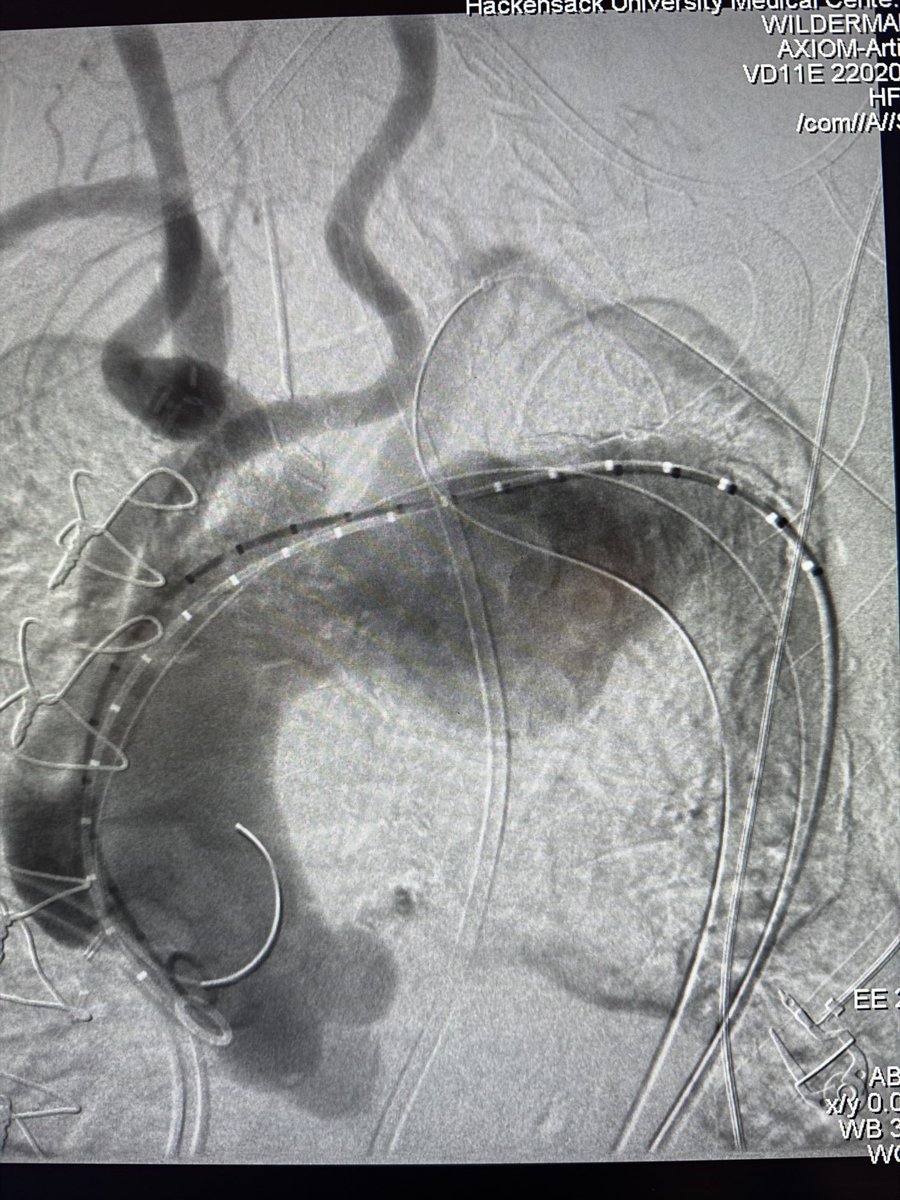 Dr Michael Wilderman tweet media