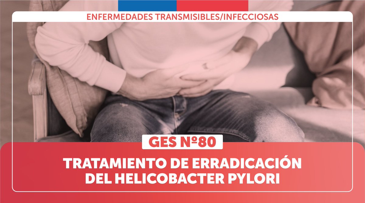 Salud_Responde's tweet photo. #EstáEnElGES 
Cualquier persona puede optar al tratamiento de erradicación del Helicobacter Pylori, bacteria que se aloja en el estómago, produciendo gastritis e incluso úlceras.
Conoce la cobertura GES en medicamentos y exámenes.
Visita https://t.co/3nExOgnjPH o 📲600 360 777 https://t.co/jXWw4hPQvg