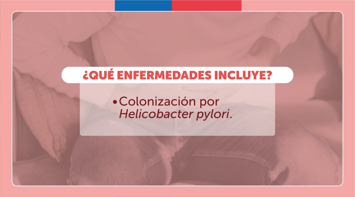 Salud_Responde's tweet photo. #EstáEnElGES 
Cualquier persona puede optar al tratamiento de erradicación del Helicobacter Pylori, bacteria que se aloja en el estómago, produciendo gastritis e incluso úlceras.
Conoce la cobertura GES en medicamentos y exámenes.
Visita https://t.co/3nExOgnjPH o 📲600 360 777 https://t.co/jXWw4hPQvg