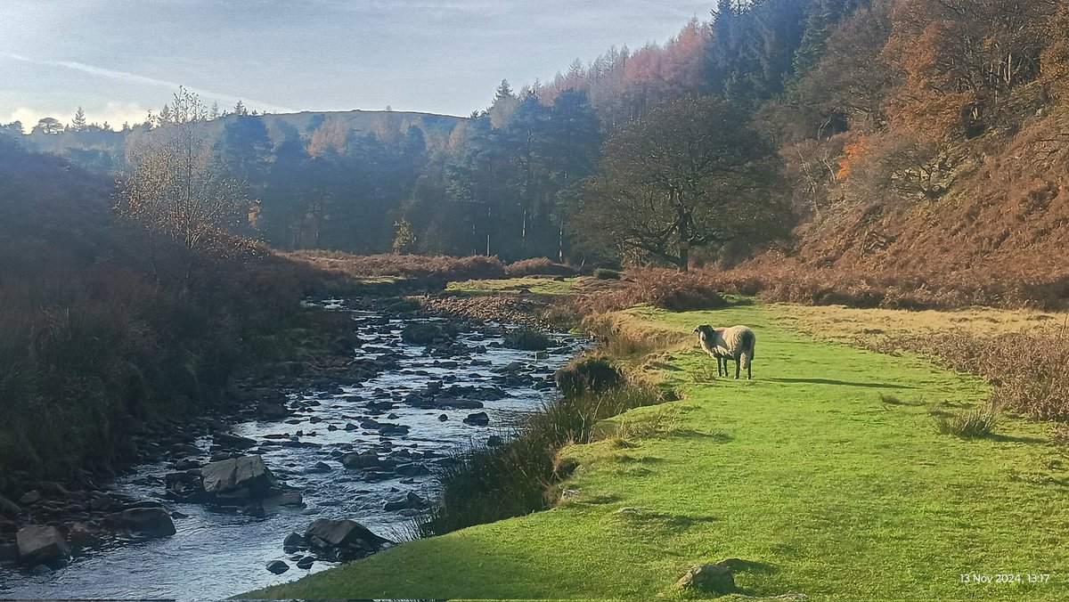 Christo70300025's tweet photo. Looking down the valley at #langsett reservoir ๐๐ณ๐ฒ https://t.co/bCQlIcNSAQ