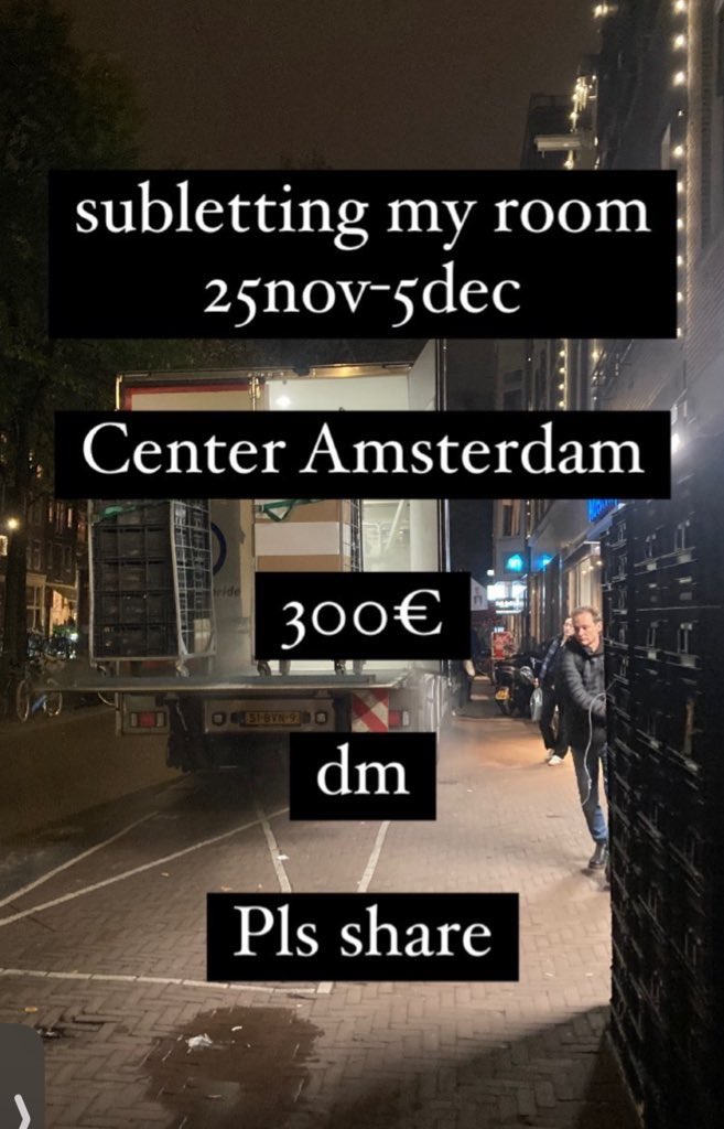 Luna 🧶 🧸 tweet media