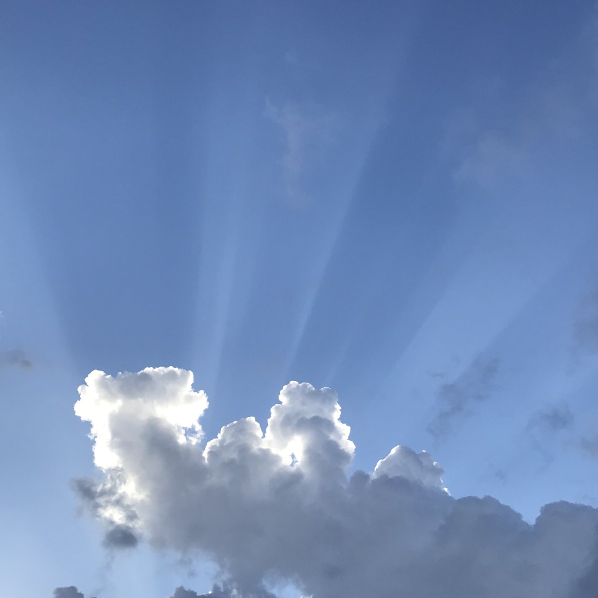 pikatwitt's tweet image. Kaser @pikatwiit migre @pikaser.bsky.social