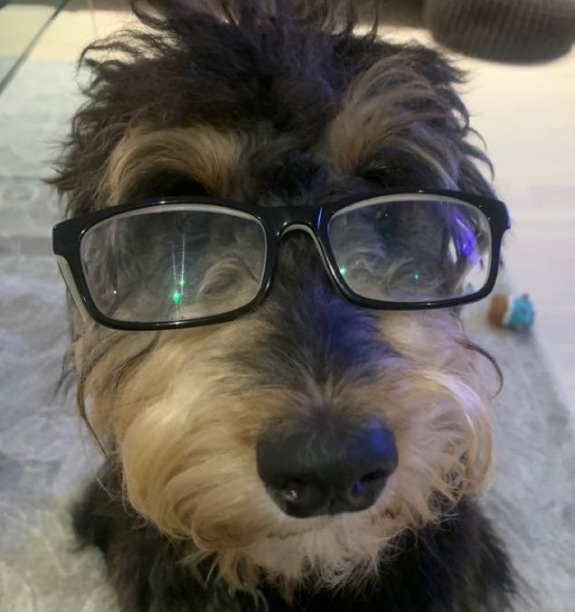 givestibulando's tweet photo. ⌕: #studytwt | #studytwtbr | #archivetwt | #collegetwt | #langtwt | #concursotwt | #conctwt 

prazer, sou novo aqui 🤓

⤷ giovanni 
⤷ 2005
⤷ rio de janeiro 
⤷ 1 ano de cursinho 
⤷ foco em direito (ufrj)
⤷ foco: humanas e ling
⤷ ENEM 2025
⤷ games e cinema 

♡/↺ = moots! https://t.co/KBvVtEDBvM