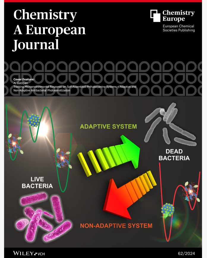 Anzhela Galstyan tweet media