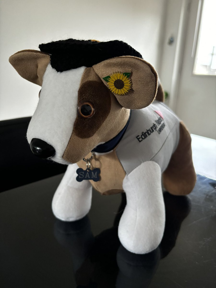 Alison Robertson tweet media