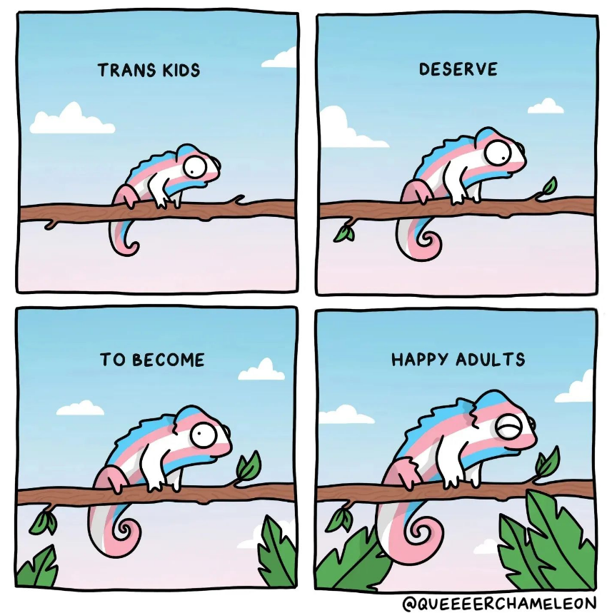 a reminder for my trans homies today💜