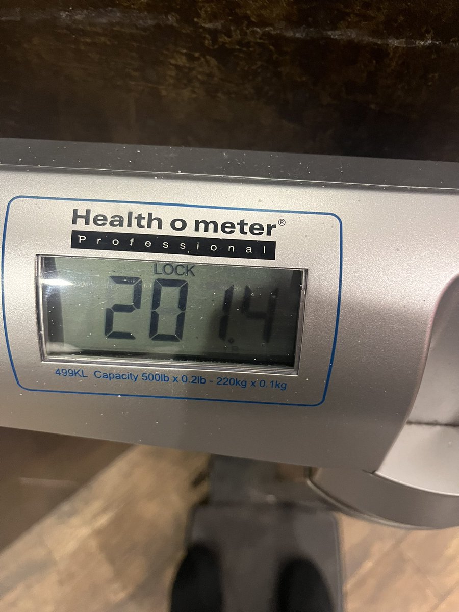 New 60yd dash PR (6.34)‼️
<a href="/200lb/">FREE FOLLOW</a> Body weight