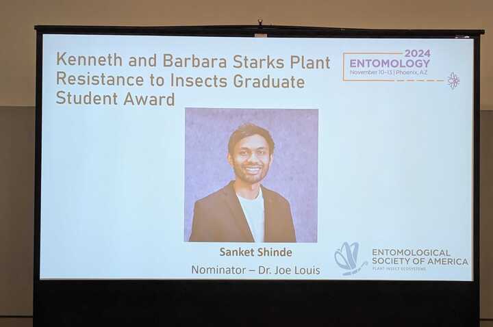 UNLEntomology's tweet image. Congratulations to all of our students at the ESA convention!
1st Place: Natasha Umezu, Kristin Stark, Sanket Shinde, Bhawana Regmi, Ricardo Fuchs de Pinho, Xixian Ng, Nikhitha Gangavarapu
2nd Place: Natalie M. Johnston, Emile Dayara Rabelo Santana, Hannah Stowe, Kashish Verma