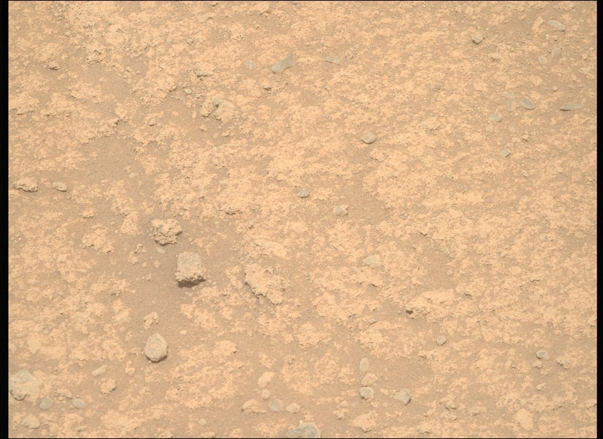 MarsMissionImgs's tweet photo. #PerseveranceRover image taken on #Sol889 at 11:00:09.611 AM with #MastcamZ #Mars #NASA #Space https://t.co/qz5XgkO1mB