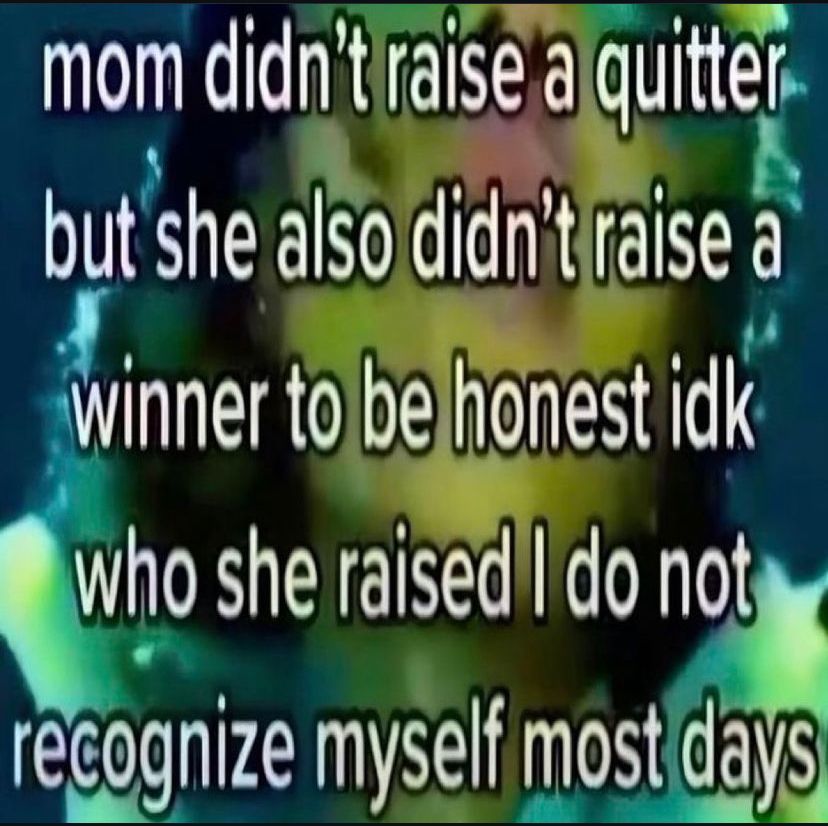 🕐HOURLY🕑 shitpost (@hourly_shitpost) on Twitter photo 