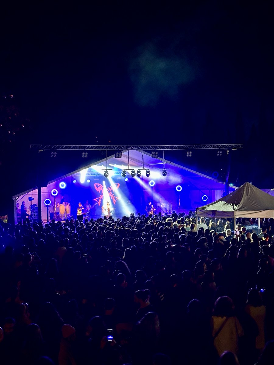 Ibiza Plug & Play tweet media