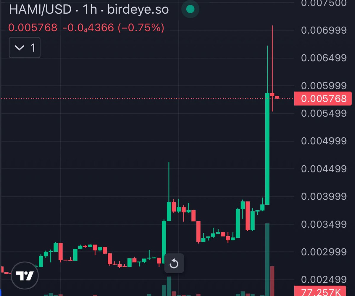 $HAMI 🐹 price has DOUBLED in the last 24 hours