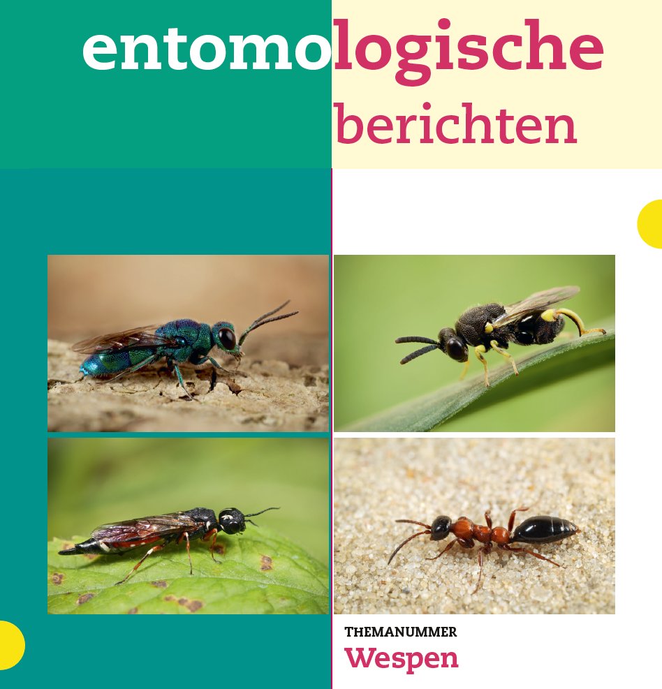 Nederlandse Entomologische Vereniging tweet media