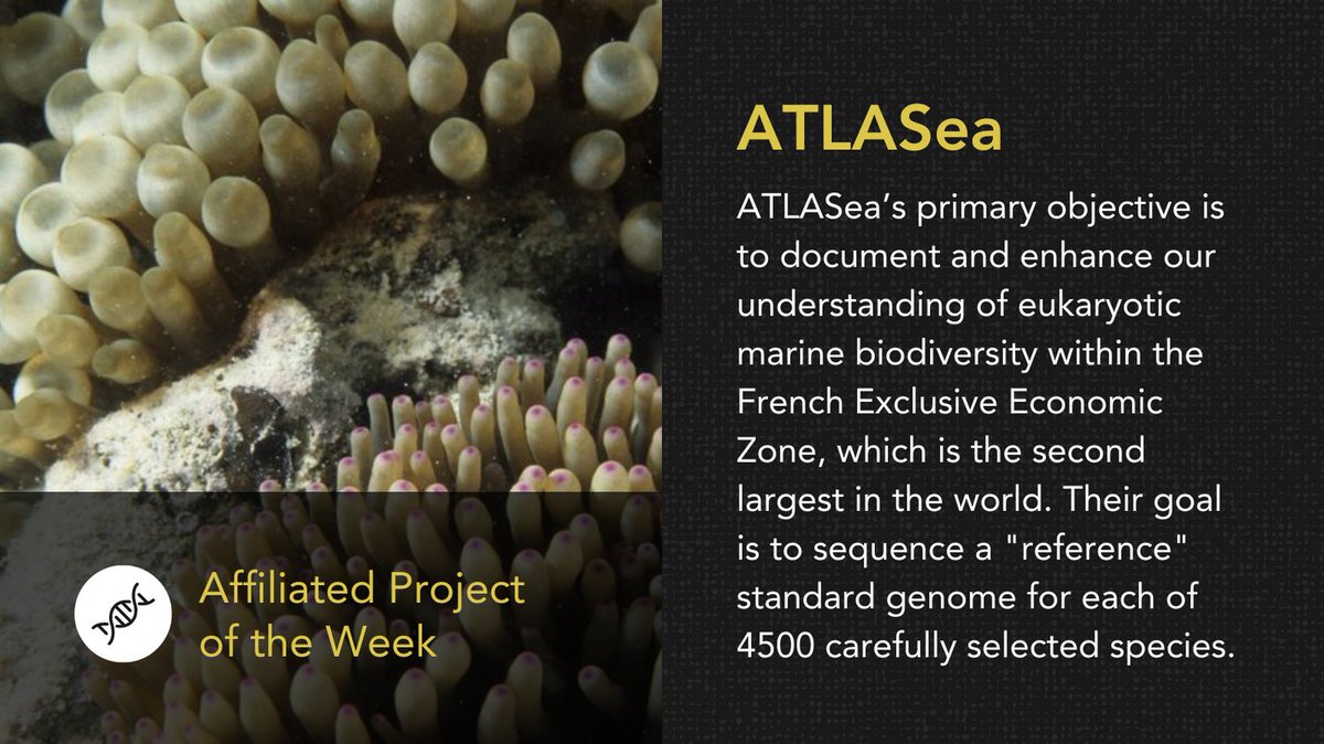 Earth BioGenome Project 🌍 tweet media