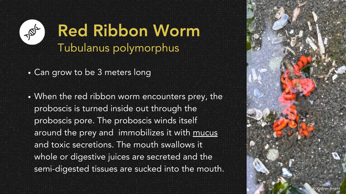 Earth BioGenome Project 🌍 tweet media