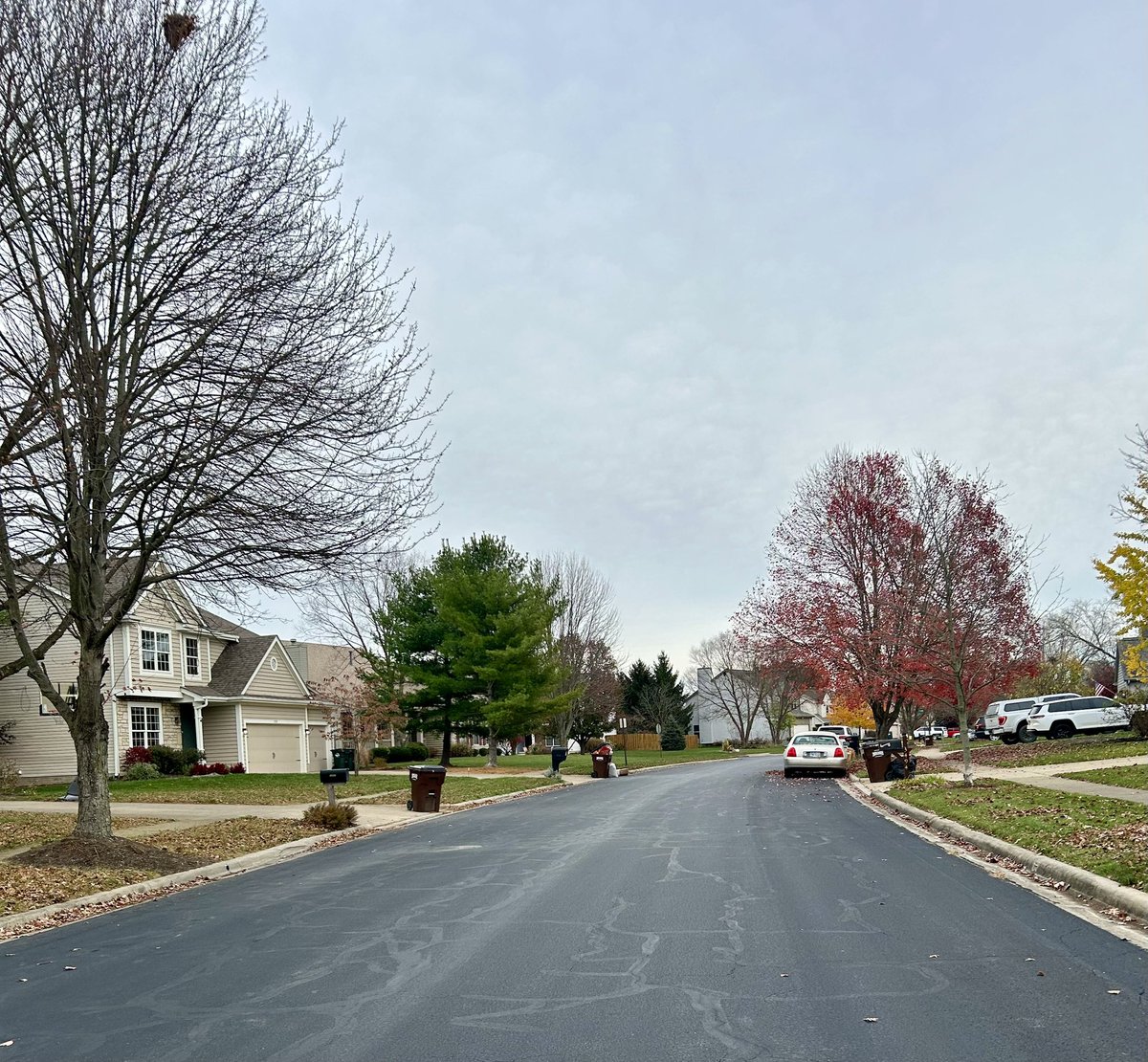 lillianromerof's tweet image. Columbus, Ohio #fall2024 #Ohio #WednesdayMotivation