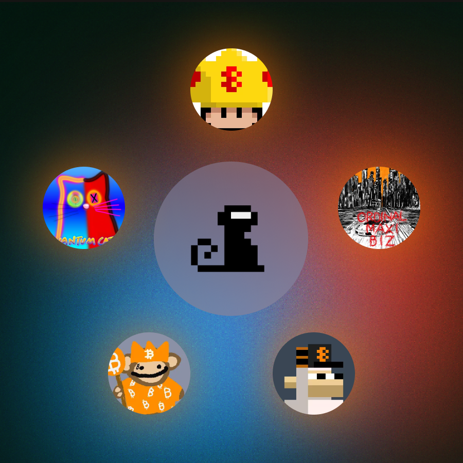 AlphaMonkes ◉ (@alphamonkes) on Twitter photo If you hold any assets from these collections and haven't yet joined Alphamonkes, join via the link below. 🤝
discord.gg/alphamonkes If you hold any assets from these collections and haven't yet joined Alphamonkes, join via the link below. 🤝
discord.gg/alphamonkes