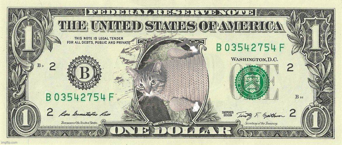 Meme currency = $TC

wen $1 ? 🦃🐱