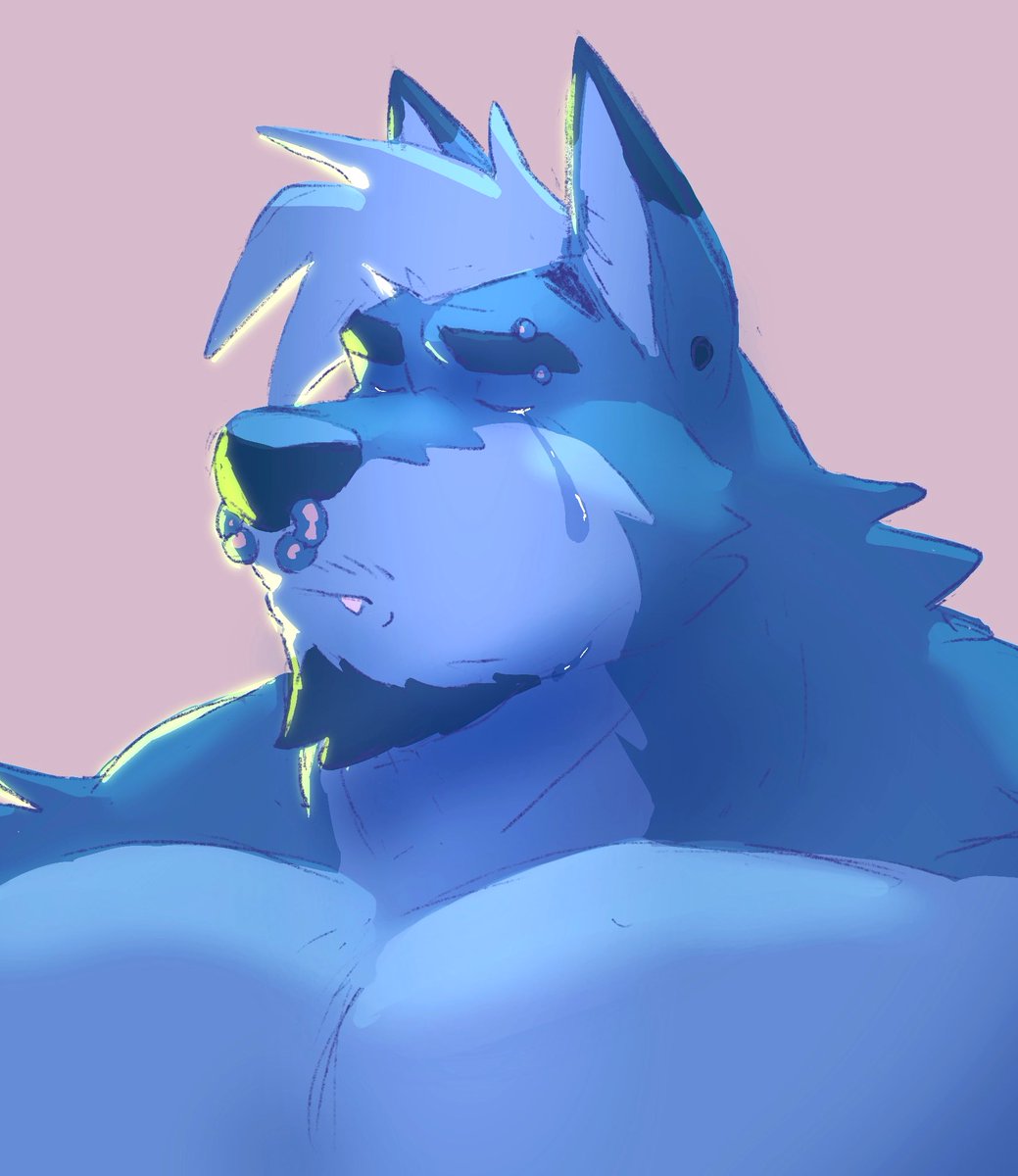 Wolf “play my VN!” Yama tweet media