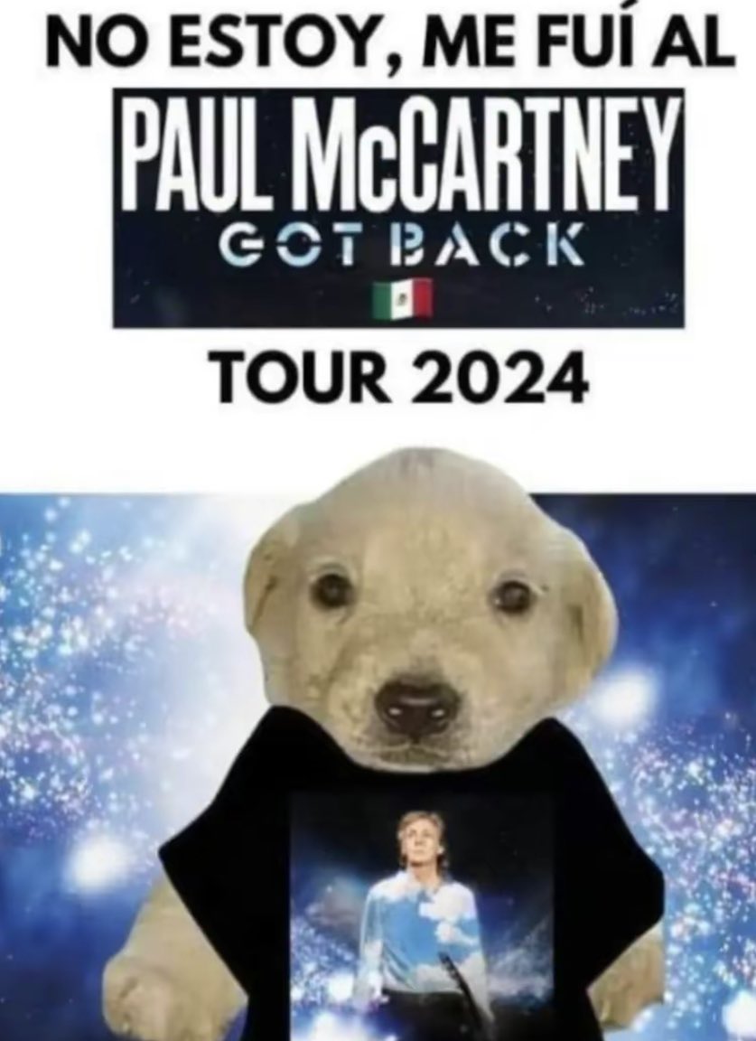 romoftw's tweet photo. Paul McCartney, Got Back 2024
10/10 https://t.co/TbdDl15f8C