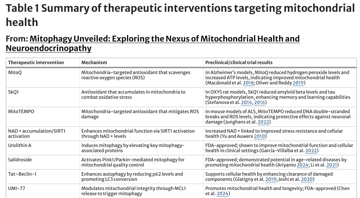 chydorina's tweet photo. Very readable review: Mitophagy Unveiled: Exploring the Nexus of Mitochondrial Health and Neuroendocrinopathy (2024)

https://t.co/Hx5omnTUmk https://t.co/uCEHXTs67q