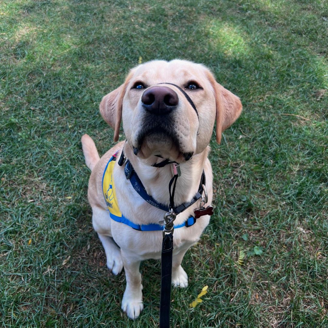 Rusty basking in the Saint Peter's ambiance on campus. 🤗💙

📷 Instagram: @rustySPU  
#SaintPetersUniversity #PeacockNation