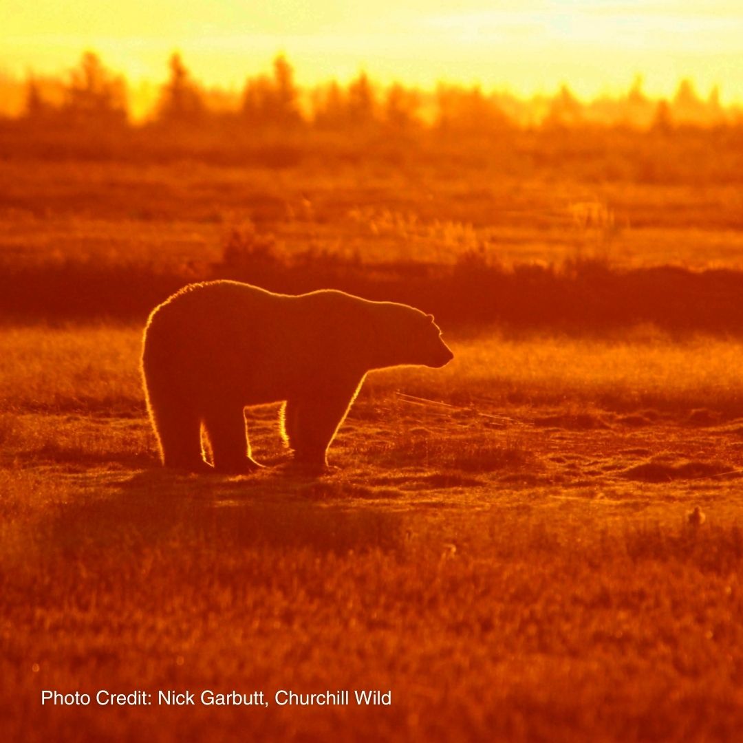 PowerToBe tweet media