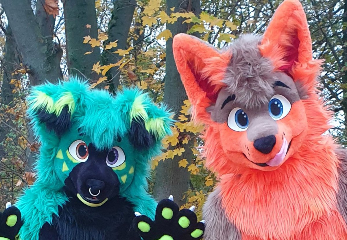 whitewingsuits's tweet photo. Hallo Fusselfreunde, heute war ein schöner Suitabholtag für @jaxxi5 und @Lotytus im bunten Herbstwald🍂 am #WhiteWingWednesday
Mehr schöne Fotos gibt's am #FursuitFriday
#furrys #Fursuit #Fursuitmaker
#Wolf #ilovemyjob https://t.co/9fIrqp9gBb