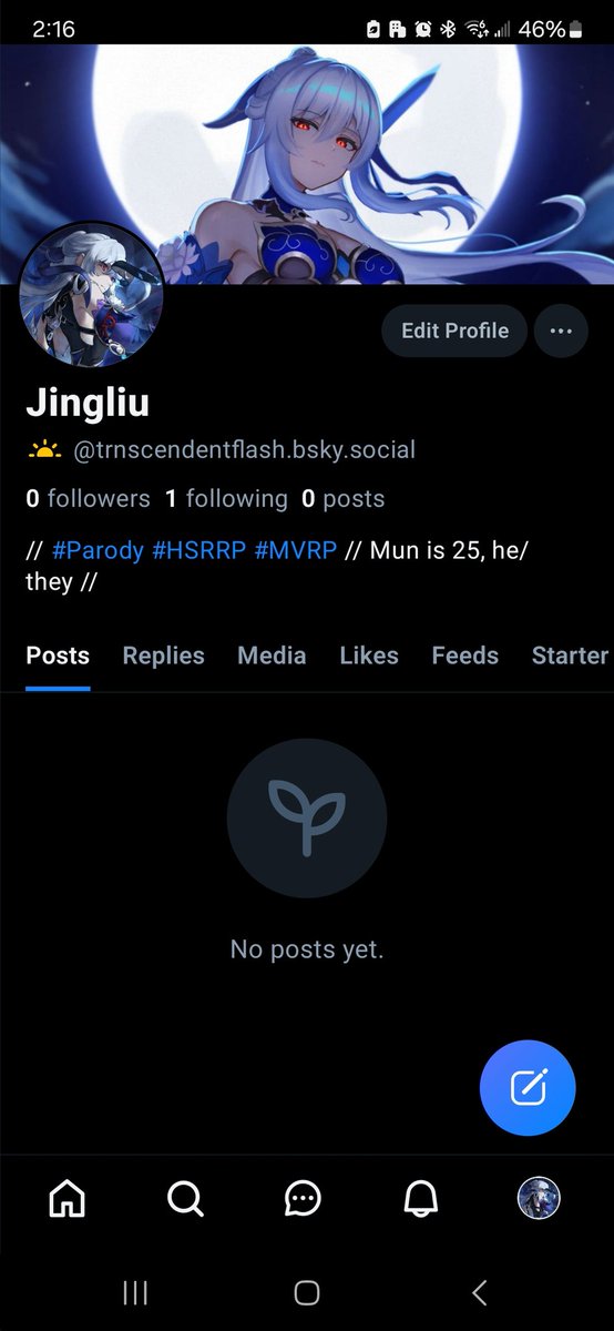 ❄️ Almost have all of my HSR muses on here