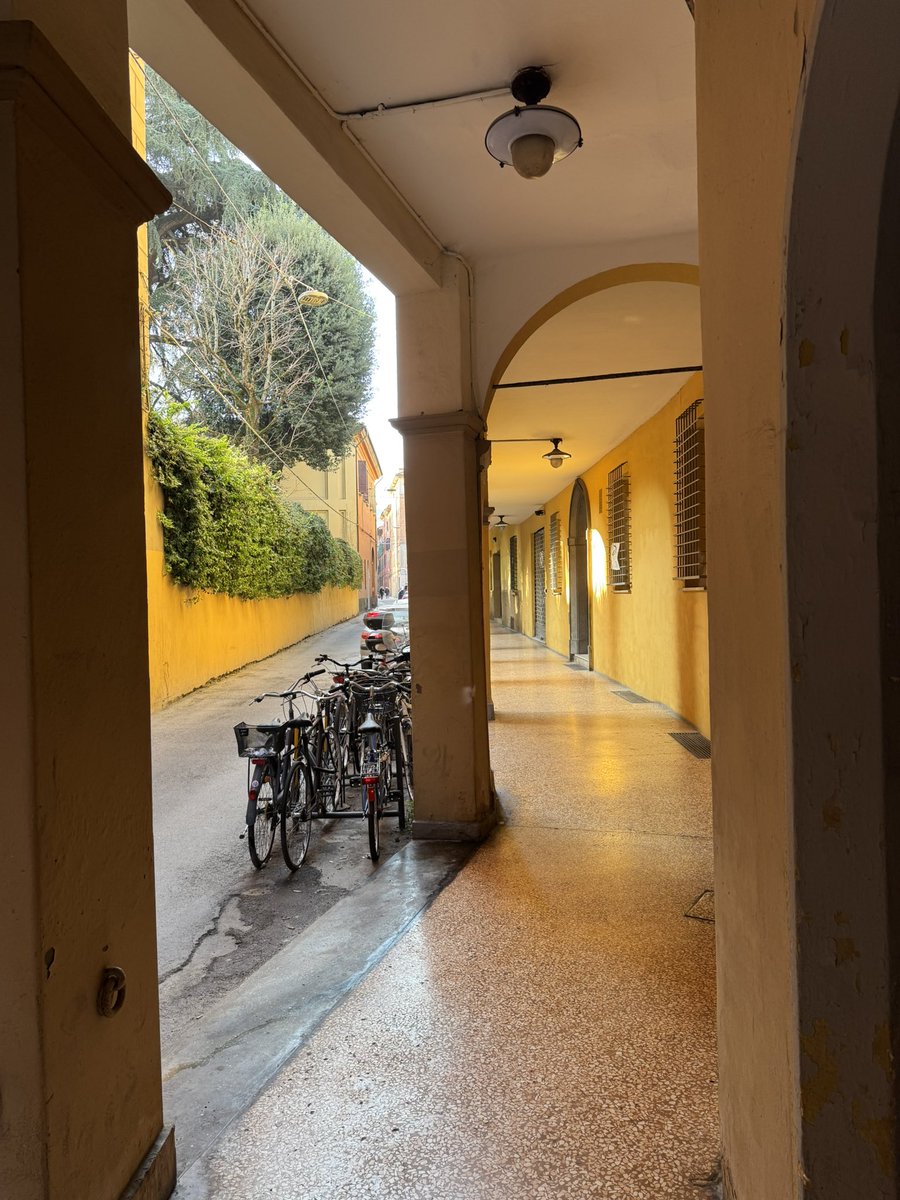 mostacci's tweet image. walking around Bologna