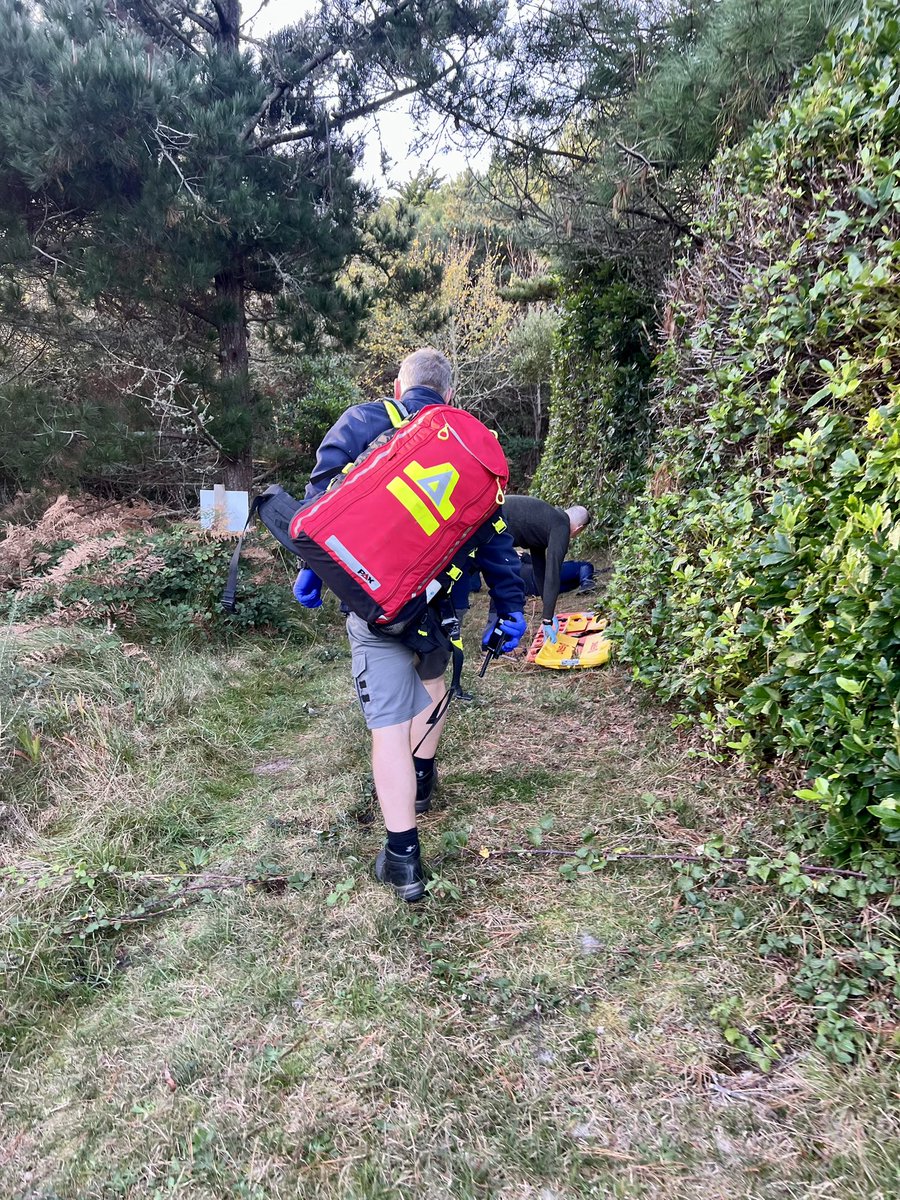 Code Red Training tweet media