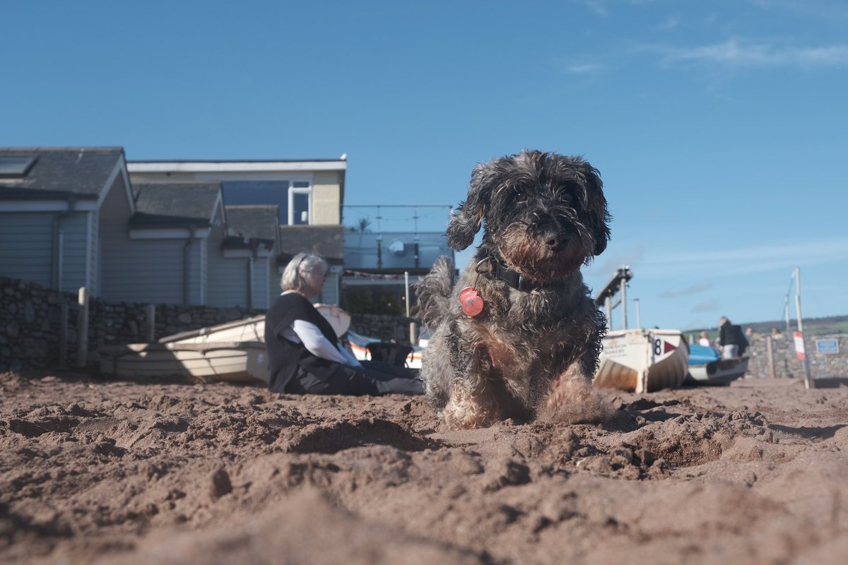 Wally Bobbers 💜 tweet media