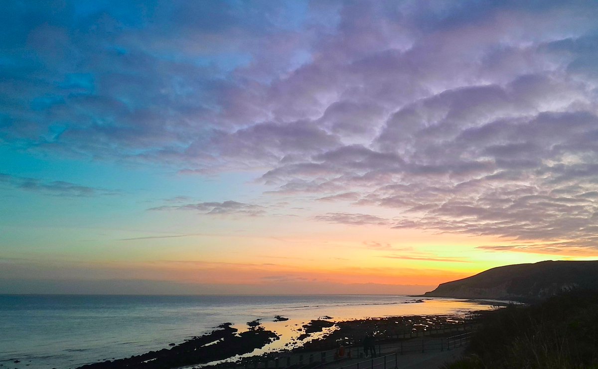 Sharing Life With Nature tweet media