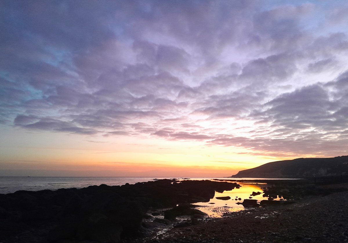 Sharing Life With Nature tweet media