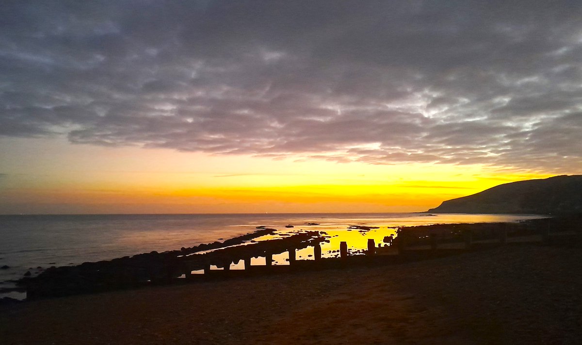 Sharing Life With Nature tweet media