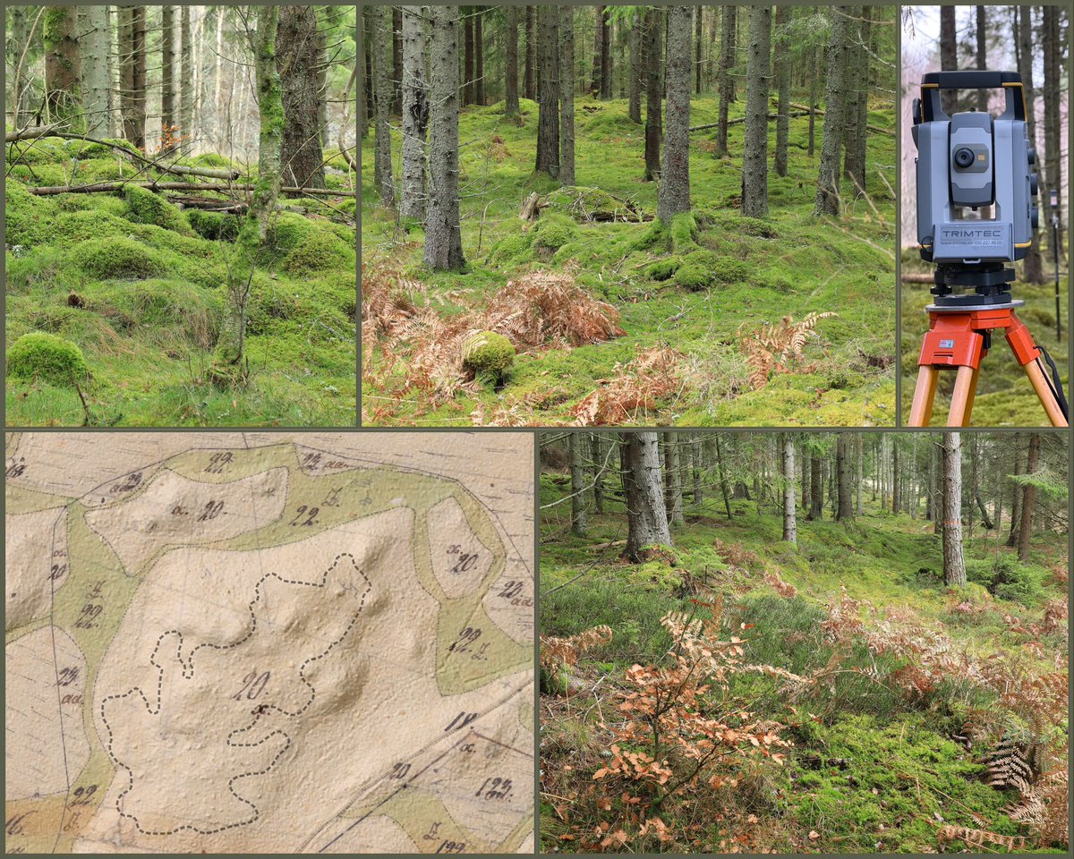 Pär Connelid tweet media