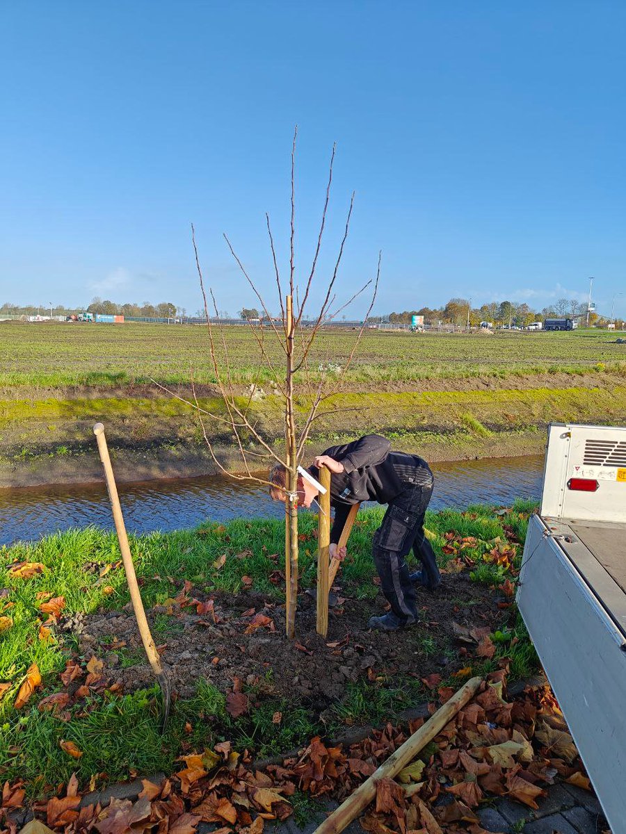 Koploperproject tweet media