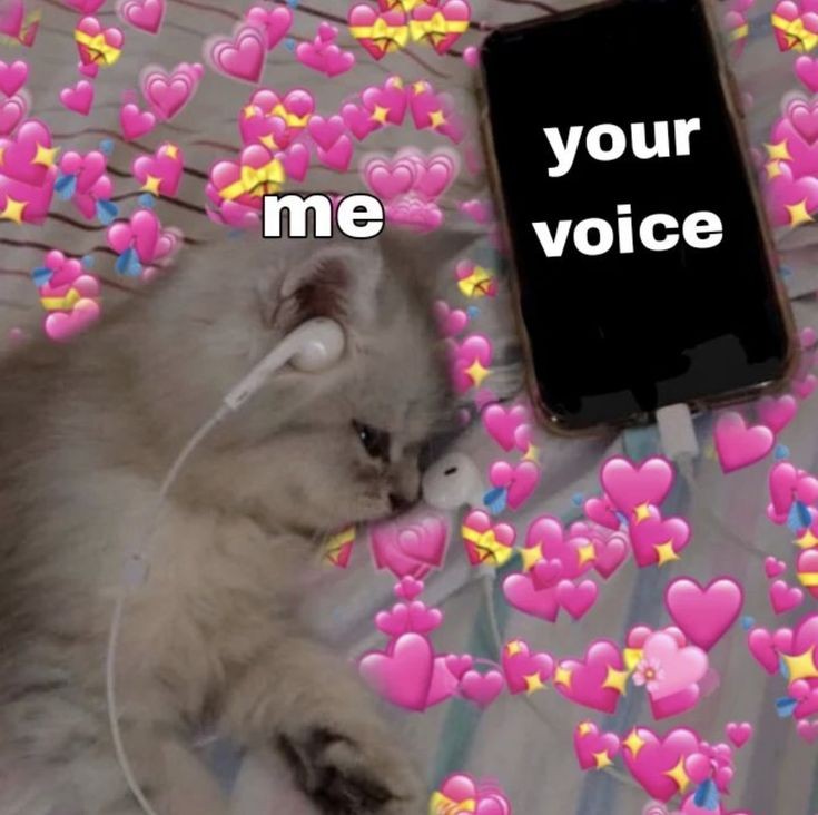 my msg. (@_mymsg) on Twitter photo 