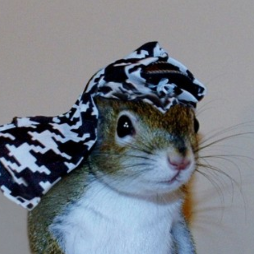 Cannot make this shit up <a href="/IOHK_Charles/">Charles Hoskinson</a>

9wBNNCXg8pb4SZpTY868CEr74S25Qy1JmGHFwo9F37dC

$SUGAR