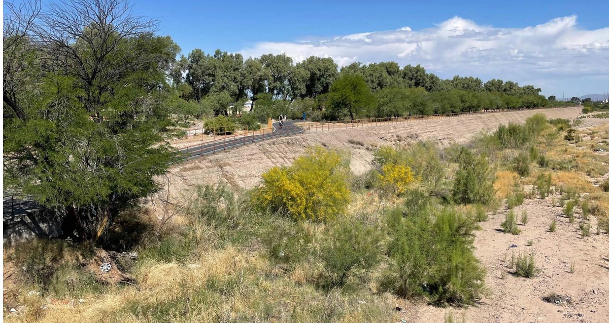 Great news on the advancement of the Urban National Wildlife Refuge project we work with over 50 local organizations! Thank you Arizona Public Media for highlighting this collaborative effort 💚

news.azpm.org/p/news-article…

📸 Tony Paniagua