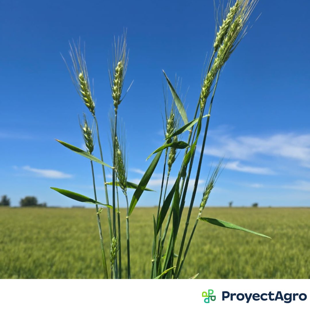 ProyectAgro tweet media