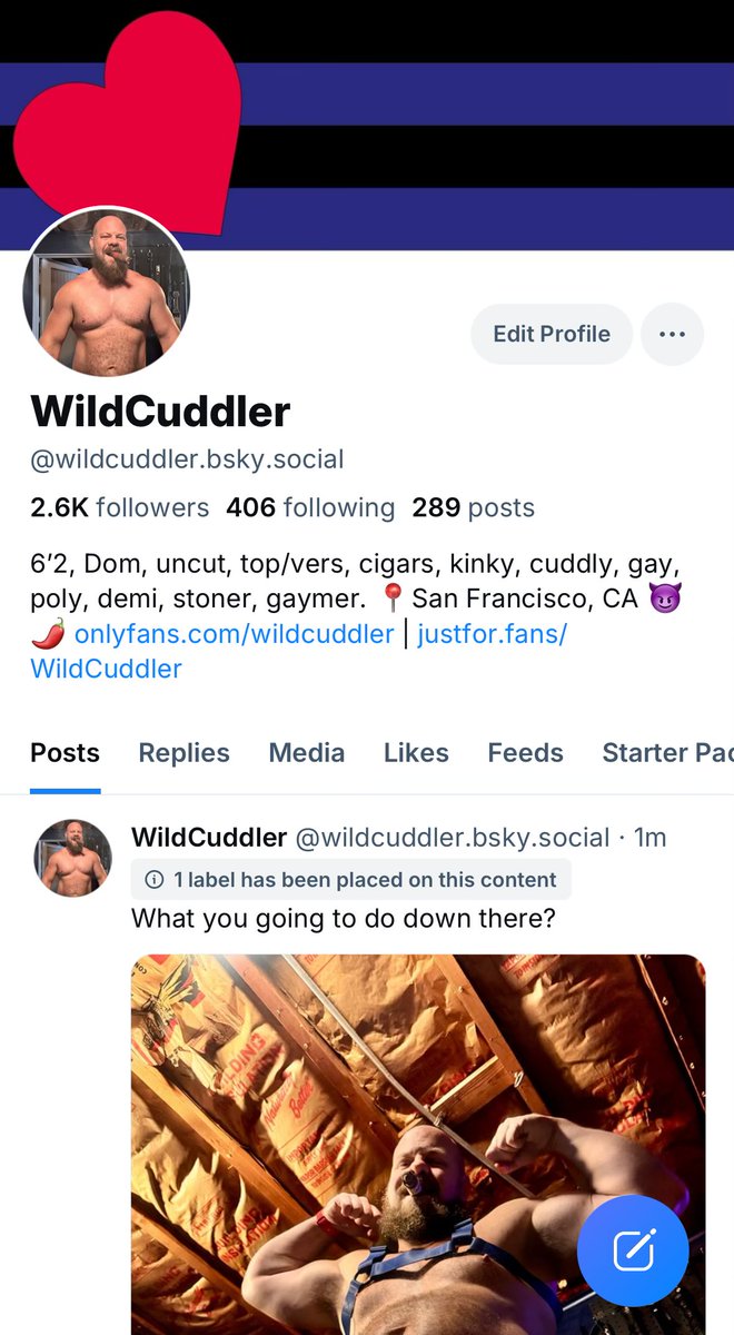WildCuddler🔜SF Pride tweet media